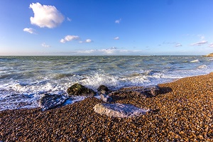 Visitor Information Visitor Information