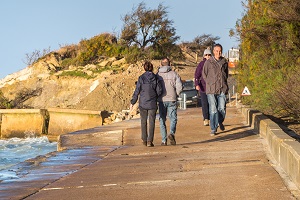 councillors councillors